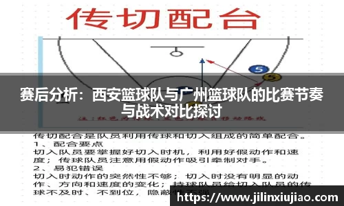 伟德bv国际体育