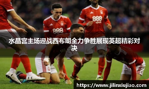 水晶宫主场迎战西布朗全力争胜展现英超精彩对决