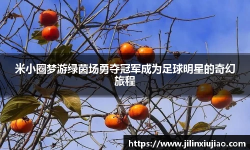 米小圈梦游绿茵场勇夺冠军成为足球明星的奇幻旅程